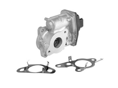 AGR-VENTIL BorgWarner 712012R 1