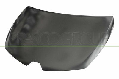 MOTORHAUBE PRASCO RN3293130