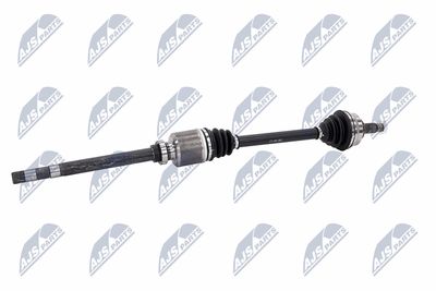 PLANETARA NTY NPWCT181 4