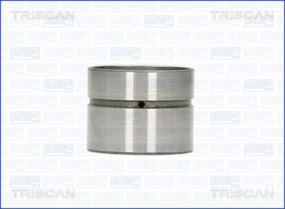 TRISCAN 80-29008 Гідрокомпенсатори для AUDI (Ауди)