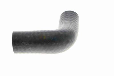 FURTUN RADIATOR VAICO V201769 4