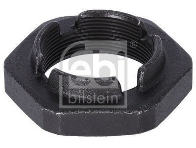 PIULITA CRENELATA FEBI BILSTEIN 29497