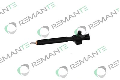 INJECTOR REMANTE 002003002153R 5