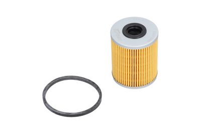 Kavo Parts Kuro filtras