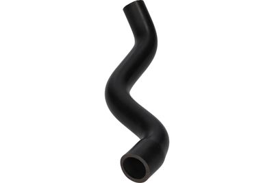 FURTUN ULEI BIRTH 56007 4