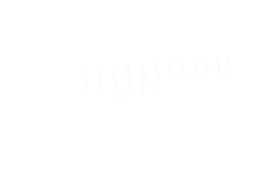 BURDUF CAUCIUC DIRECTIE FEBEST SZRKBSX4 23