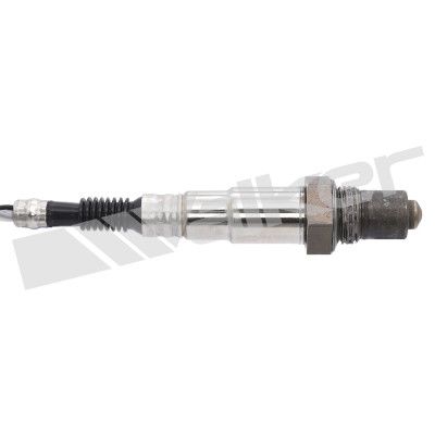 LAMBDASONDE WALKER PRODUCTS 25024393 1