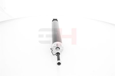 AMORTIZOR GH GH333456 17