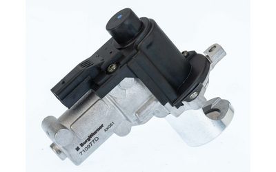 AGR-Ventil BorgWarner 710977D