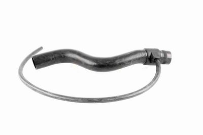 KüHLERSCHLAUCH VAICO V103198 1