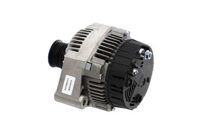 GENERATOR / ALTERNATOR REMANTE 011003000154R 18