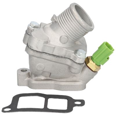 FLANSA LICHID RACIRE BIRTH 81771
