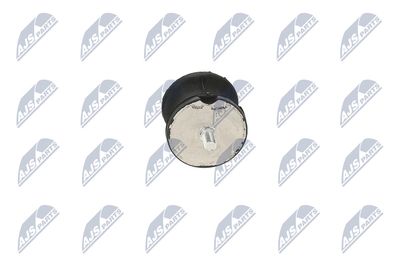 SUPORT MOTOR NTY ZPSBM010 19