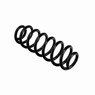 ARC SPIRAL EIBACH R10862 10