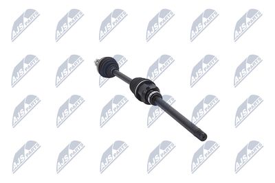 PLANETARA NTY NPWCT081 31