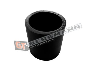 GT-BERGMANN Automotive - Hadica plniaceho vzduchu (hadica turba) VAG, VW, AUDI , GT52-789