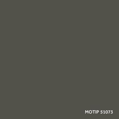 Värv MOTIP M51073