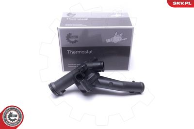 TERMOSTAT LICHID RACIRE