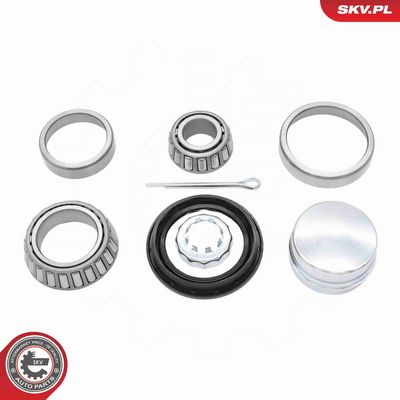 SET RULMENT ROATA ESEN SKV 85SKV002 1