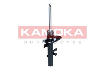 Shock Absorber 2000320