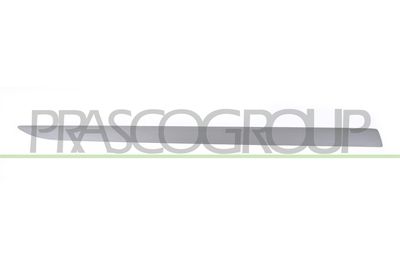 ELEMENTE DECORATIVE/PROTECTIE PORTIERA PRASCO OP0341443
