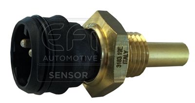 EFI AUTOMOTIVE Sensor, Kühlmitteltemperatur EFI - SENSOR (295057)