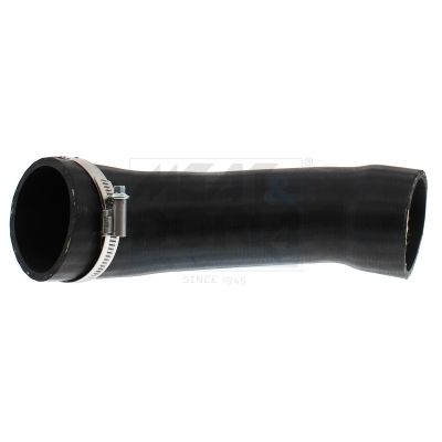 FURTUN EAR SUPRAALIMENTARE