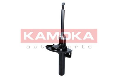 Shock Absorber 2000360