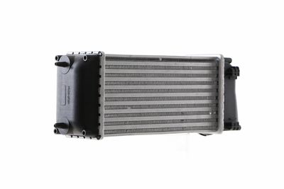 INTERCOOLER COMPRESOR MAHLE CI166000S 15