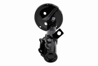 AMORTIZOR ACKOJA A701552 5