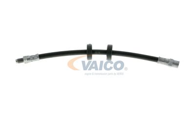 FURTUN FRANA VAICO V101043 11