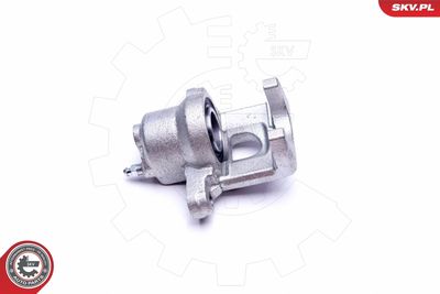 Brake Caliper 45SKV614