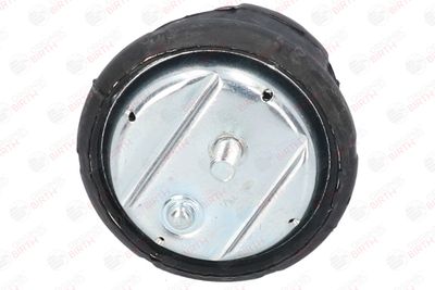 SUPORT MOTOR BIRTH 50122 8