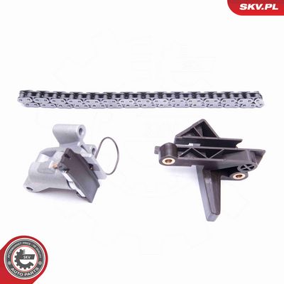 CHIT LANT DE DISTRIBUTIE ESEN SKV 21SKV135 1