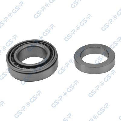 SET RULMENT ROATA GSP GKX0058