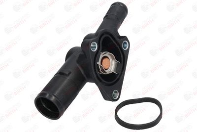 FLANSA LICHID RACIRE BIRTH 8696 6