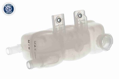 VAS DE EXPANSIUNE RACIRE