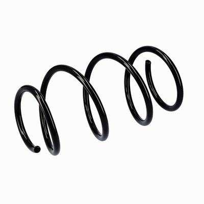 ARC SPIRAL EIBACH R10546 5