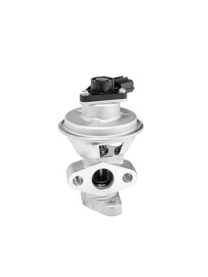 AGR-VENTIL BorgWarner 712063D 1
