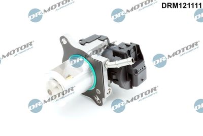 Zawór AGR DR.MOTOR AUTOMOTIVE DRM121111