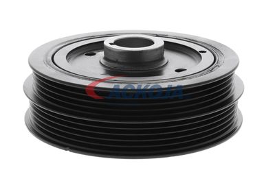 FULIE CUREA ARBORE COTIT ACKOJA A700421 45