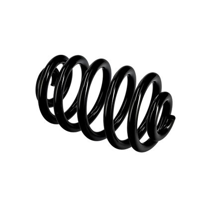 ARC SPIRAL EIBACH R10010 21