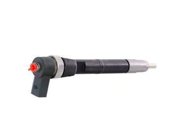 INJECTOR REMANTE 002003001108R 34