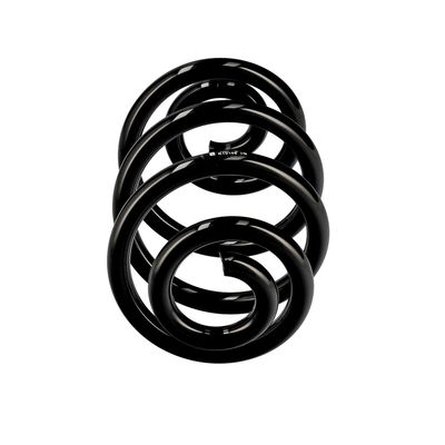 ARC SPIRAL EIBACH R10106 1