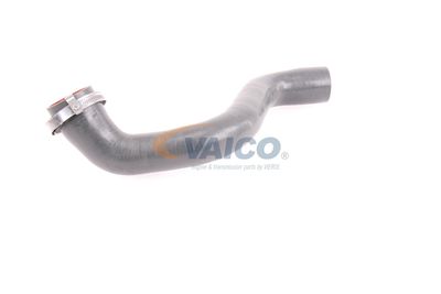 FURTUN EAR SUPRAALIMENTARE VAICO V460823 31