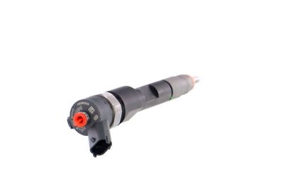 INJECTOR REMANTE 002003001043R 31