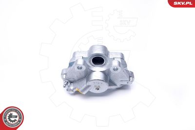 Brake Caliper 34SKV913