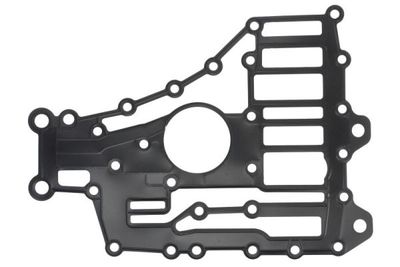 Versnellingsbak pakking past: ZF