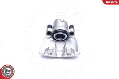 Brake Caliper 44SKV641