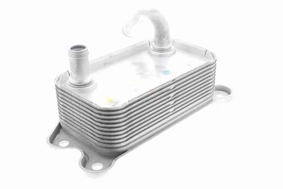 ÖLKüHLER MOTORöL VEMO V95600008 4